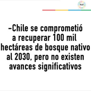 Cartón compromiso chile bosques0