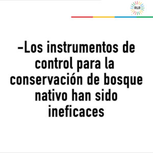 Cartón conservación bosque nativo0