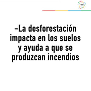 Cartón degradación e incendios0