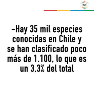 Cartón especies Chile0