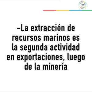 Cartón exportación peces0