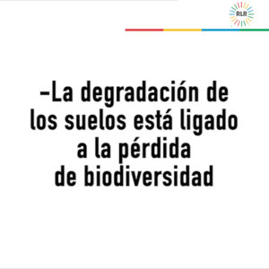 Cartón pérdida de suelo y biodiversidad0