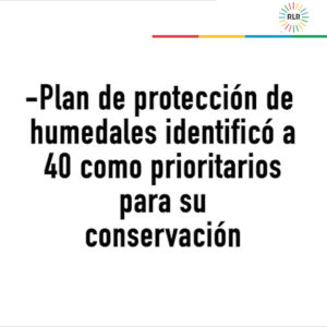 Cartón plan protección humedales0