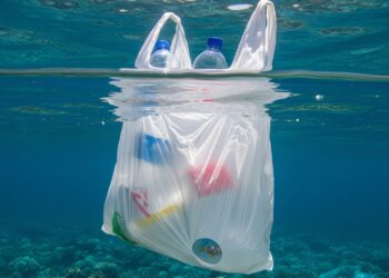 Ley Chao Bolsas Plásticas